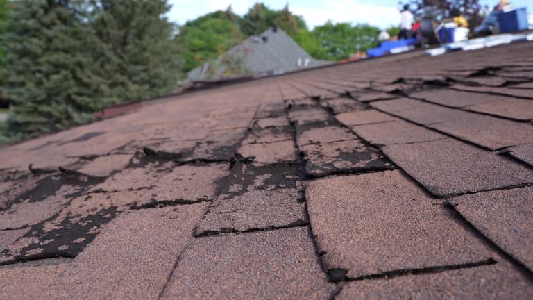 Best Solar Panel Roofing Installation  in Hazardville, CT